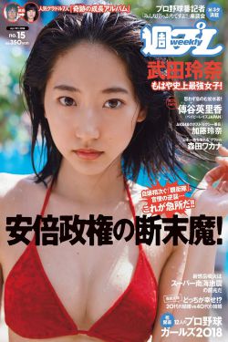 电视剧山河恋之美人无泪